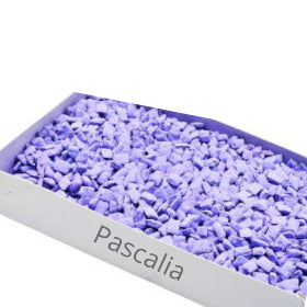 Jerusalem Incense - Pascalia