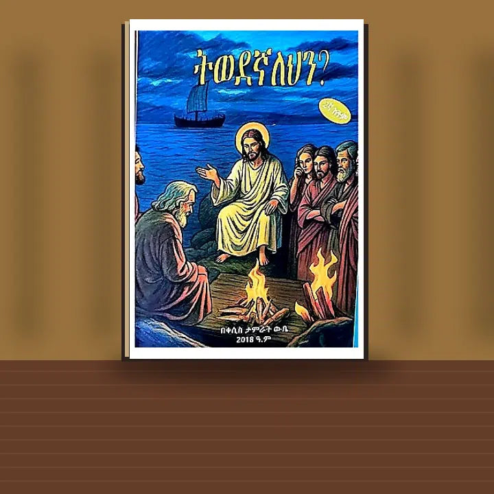 Tiwedegnalehin? — book cover mockup