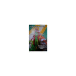 Tikit Yemetsihafe Kidus Sewoch — Ethiopian Orthodox book cover