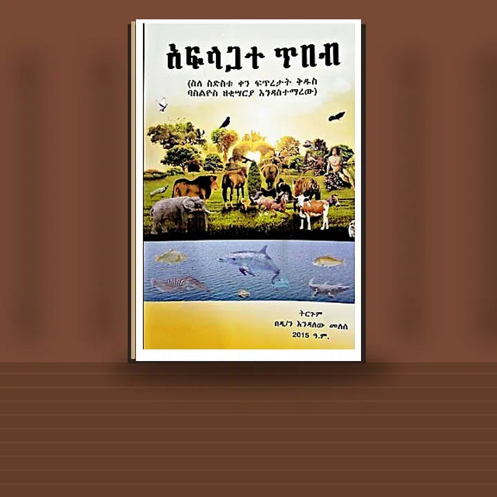 Afilagate Tibeb — book cover mockup