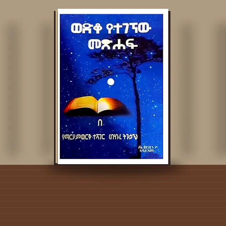 Wediko Yetegegnew Metsihaf — book cover mockup