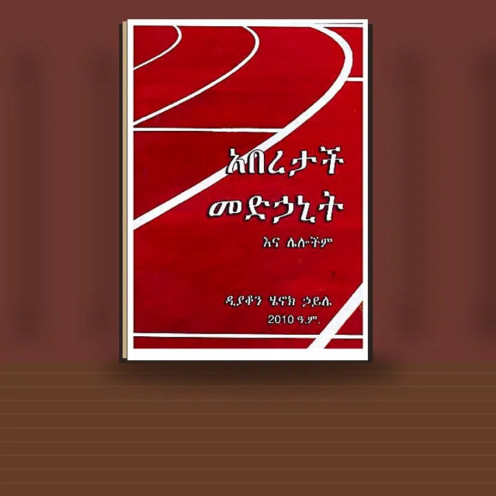 Aberetach Medihanitina Lelochim — book cover mockup