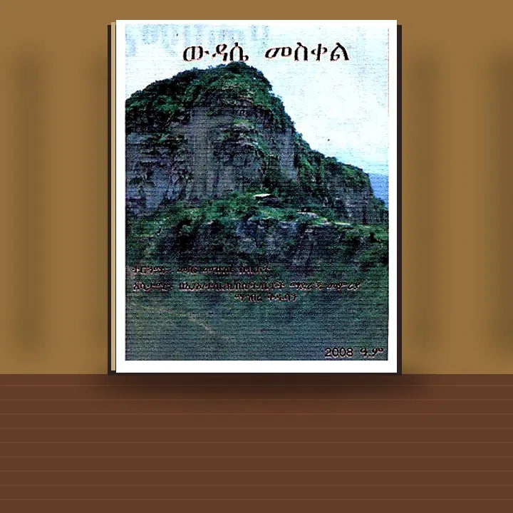 Widase Meskel — book cover mockup