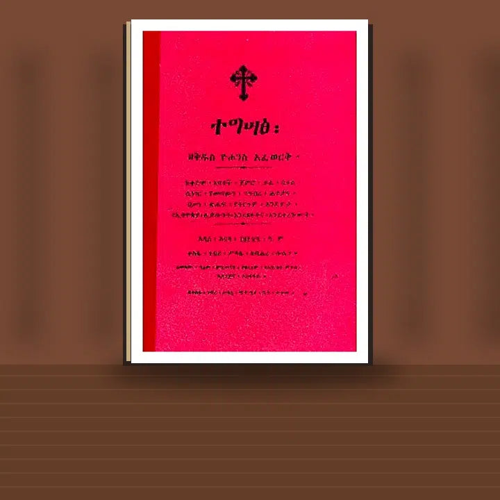 Tegsats (ZeKidus Yohanees Afewerk) — book cover mockup