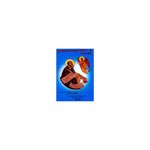 YeMetshaf Kidus Tinat- 1 — Ethiopian Orthodox book cover