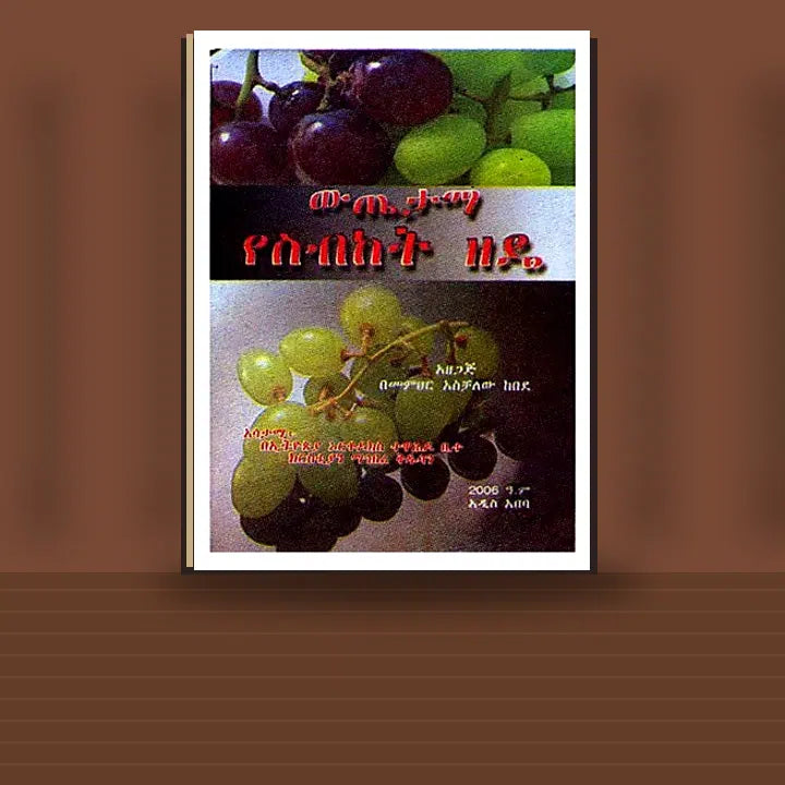 Witetama YeSibiket Zede — book cover mockup