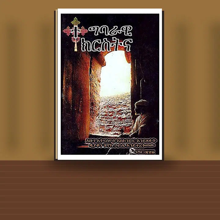 Tegbarawi Chiristina — book cover mockup